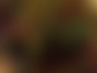 寒さに弱いコリウスたち(´；ω；`)ｳｩｩ