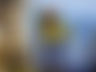 A device for sampling microplastics from the ocean