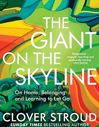 book cover.jpg
