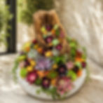 White pumpkin decorated with colorful succulents and natural botanical details