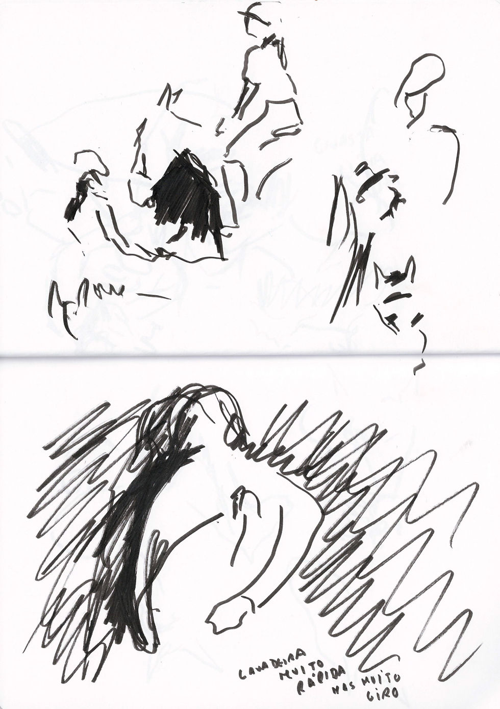 Espetáculo Equestre das Estrelas, Quinta do Vento, 4 fev 2023