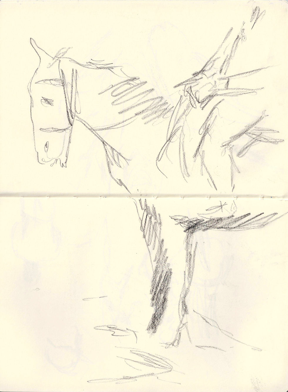 Quinta do Vento, 2023