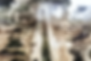 Master Sergeant John A. Chapman snow gear cut out