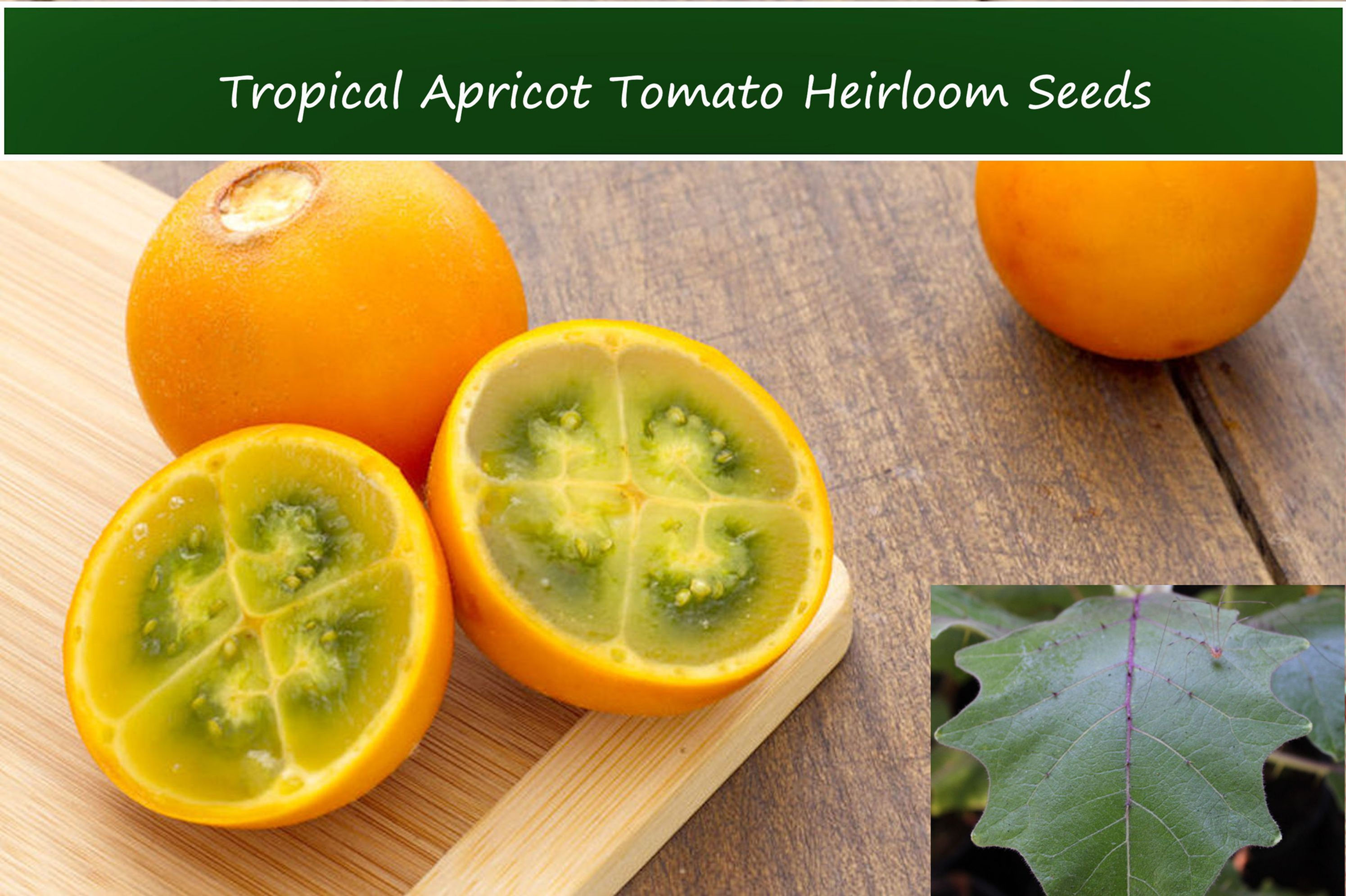 Tropical Seeds- Apricot Tomato -10 Seeds