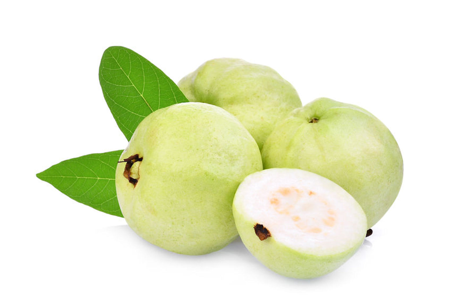 Psidium guajava Allahabad safeda Tropical Fruit Tree Seeds