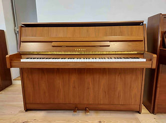 Yamaha E108 face.jpg