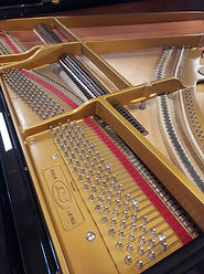 ibach F1 structure3.jpg