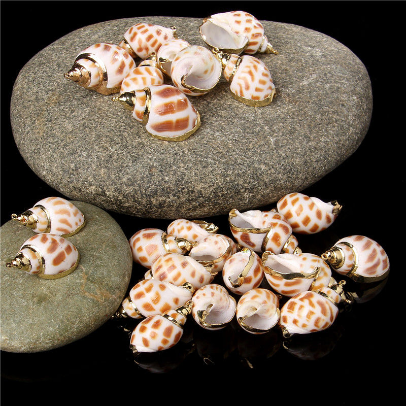 Miniatura: Lady Cowrie Sea Shell Necklace Earrings Accessories Summer Beach Conch 5pcs/lot