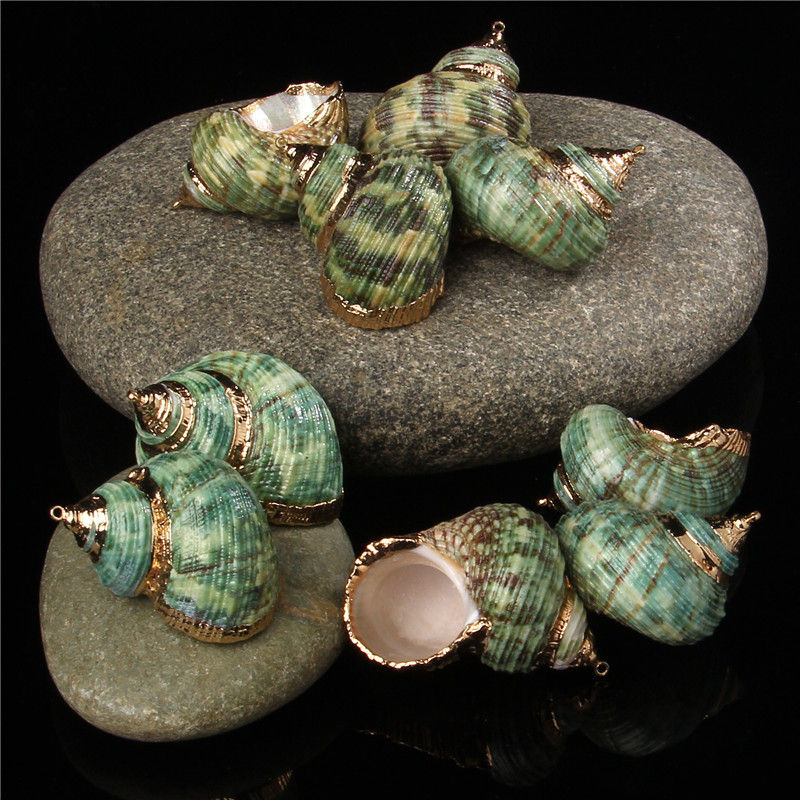 Miniatura: Lady Cowrie Sea Shell Necklace Earrings Accessories Summer Beach Conch 5pcs/lot