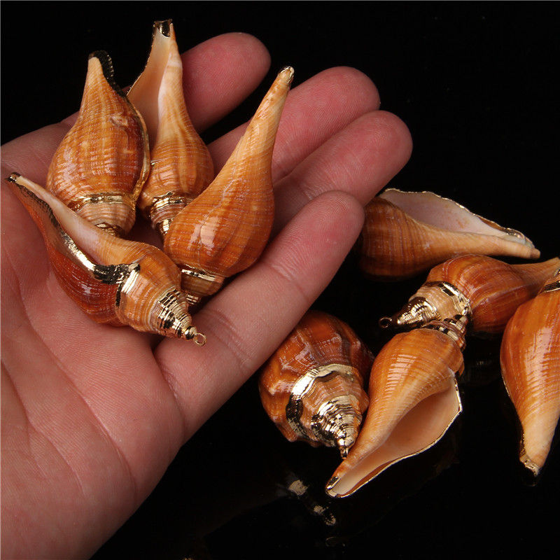 Miniatura: 38 Styles Natural Shell Charms Tiny Cowrie Sea Shells Pendant For Jewelry 5pcs