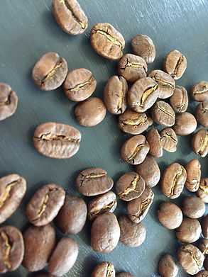 coffee beans.jpeg
