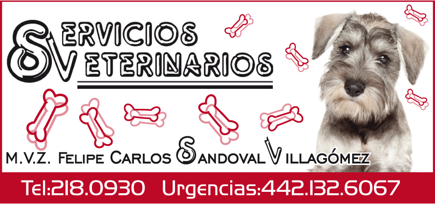VETERINARIO.gif