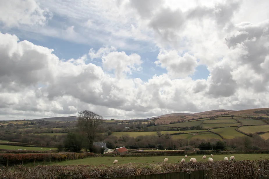 The Berries view