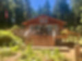 IMG_9855.jpeg