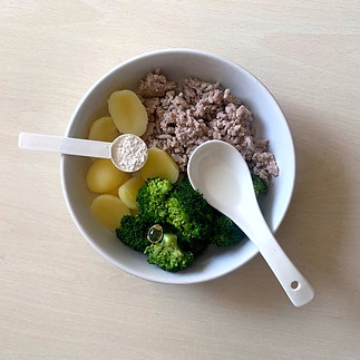 nutrizione casalinga animali