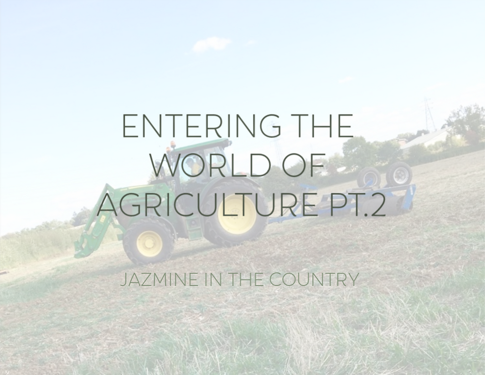 Entering The World of Agriculture Pt. 2