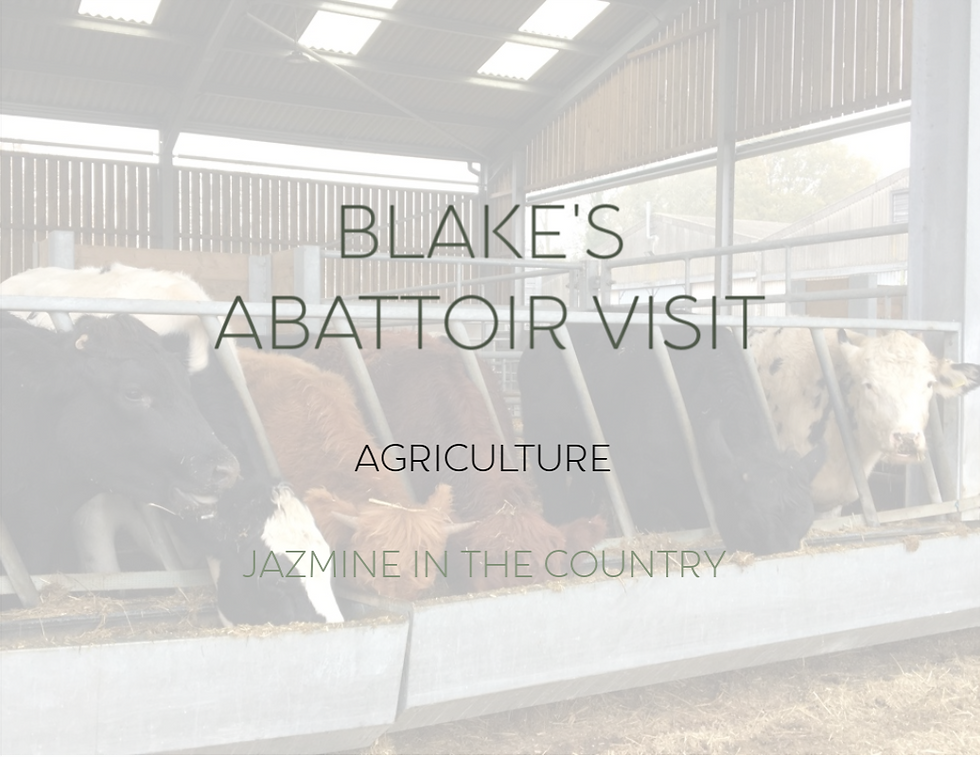 Blake's Abattoir Visit | Agriculture