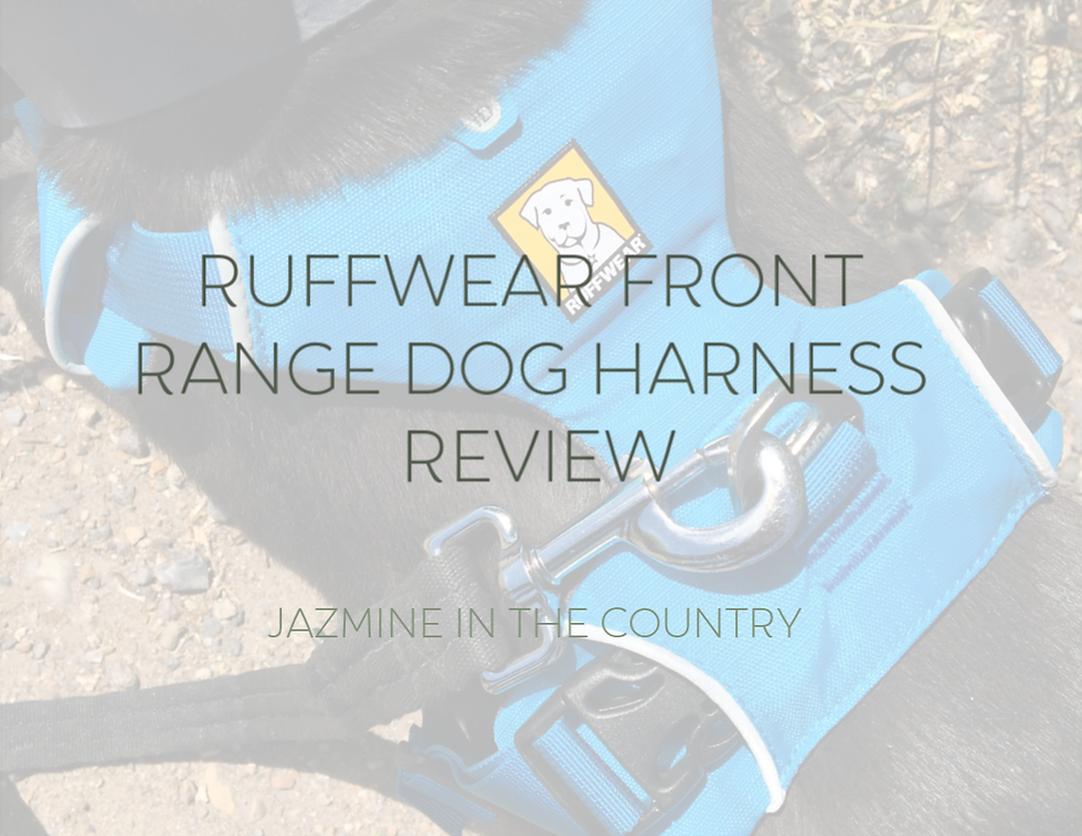 RUFFWEAR Front Range Harness Review