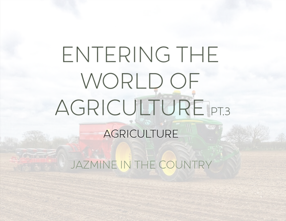 Entering The World of Agriculture Pt. 3 | Agriculture