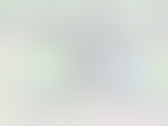 BASC Ladies Novice Clay Day 2019