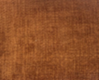 AMERICA-COPPER