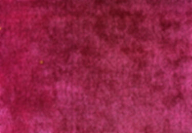 PALM-FUSCHIA