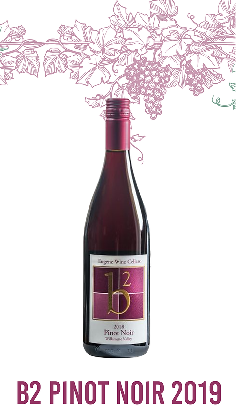 2019 Domaine Mie Ikeno Pinot Noir - CellarTracker
