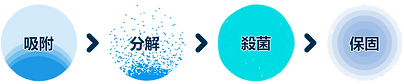pco application procedure.png