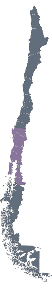 mapa maqui.png