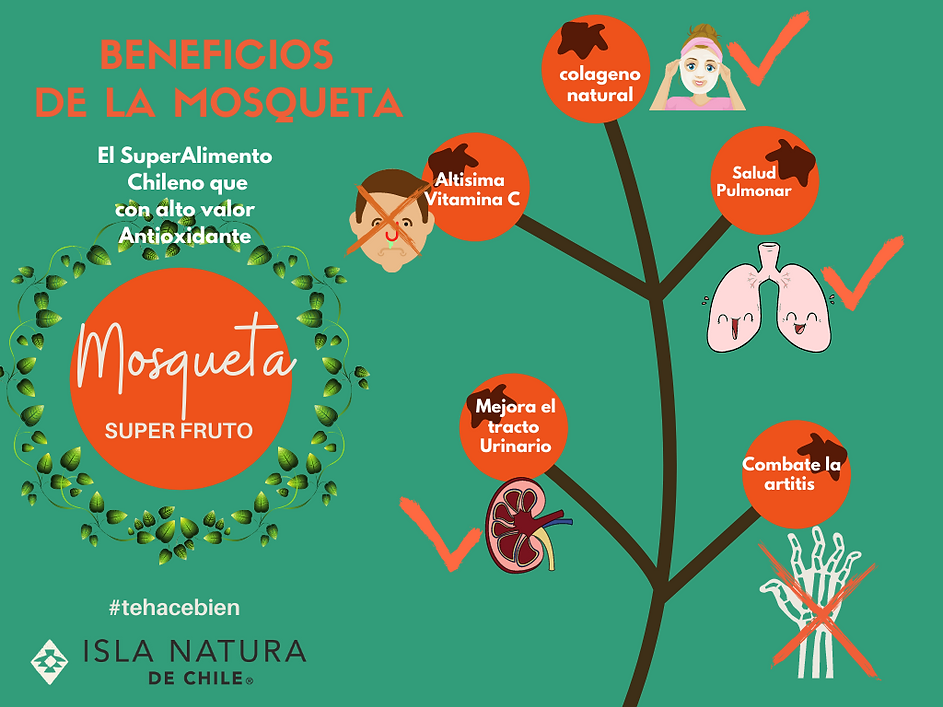Beneficion Super Alimento Rosa Mosqueta.