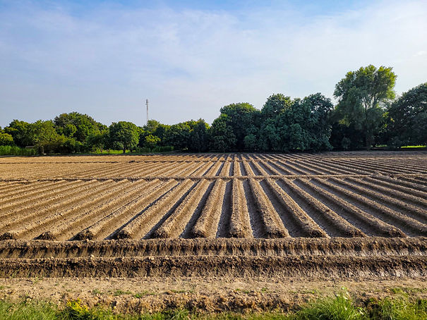 plowed-farm-field-image-plowed-field-hd-farm-field-image-plowed-farm-field-background-high