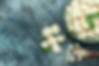 fresh cauliflower inside a plate on light grey table.jpg