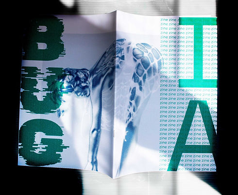 BUG IA Fanzine - Eric Alex Turel Graphic Designer - Alisea Scuderi, Katia Maugeri, Eleonor