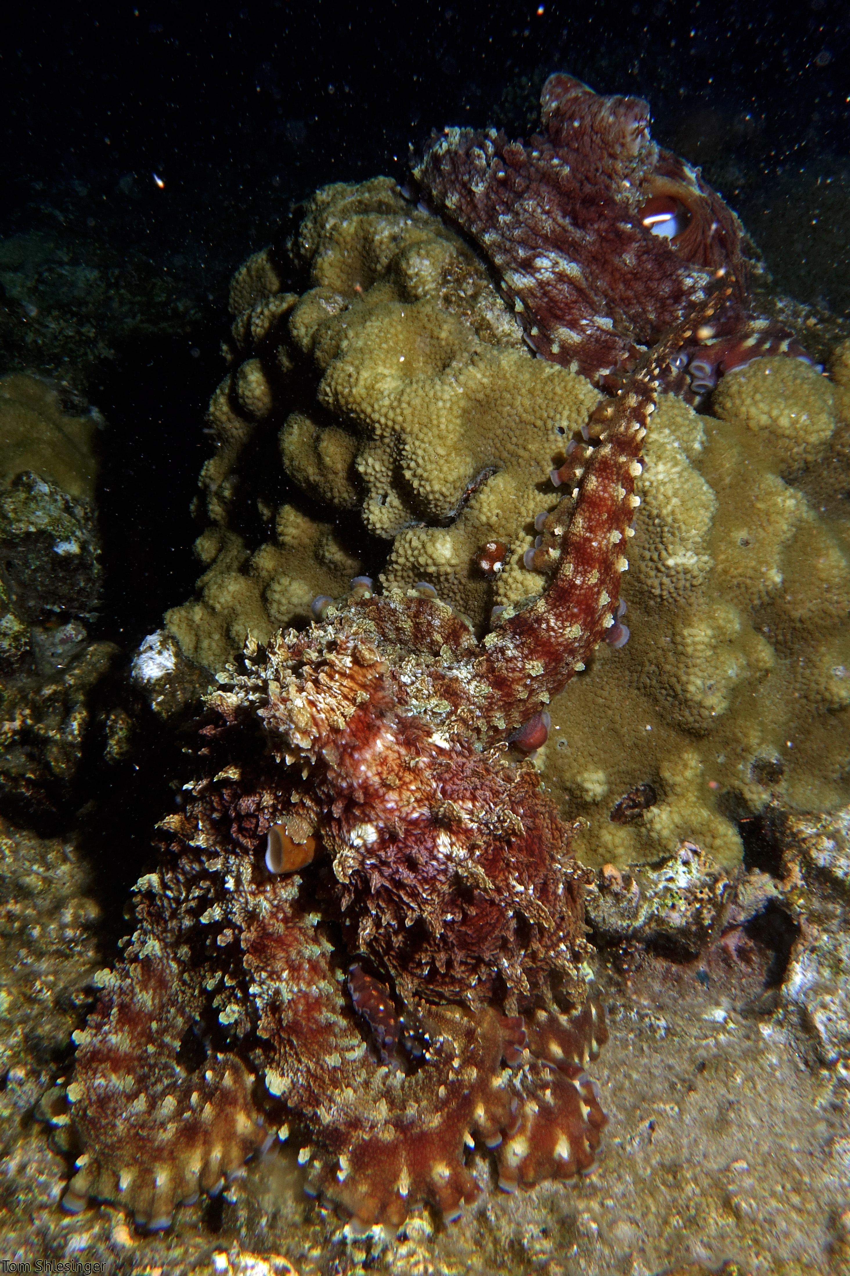 DSC07163