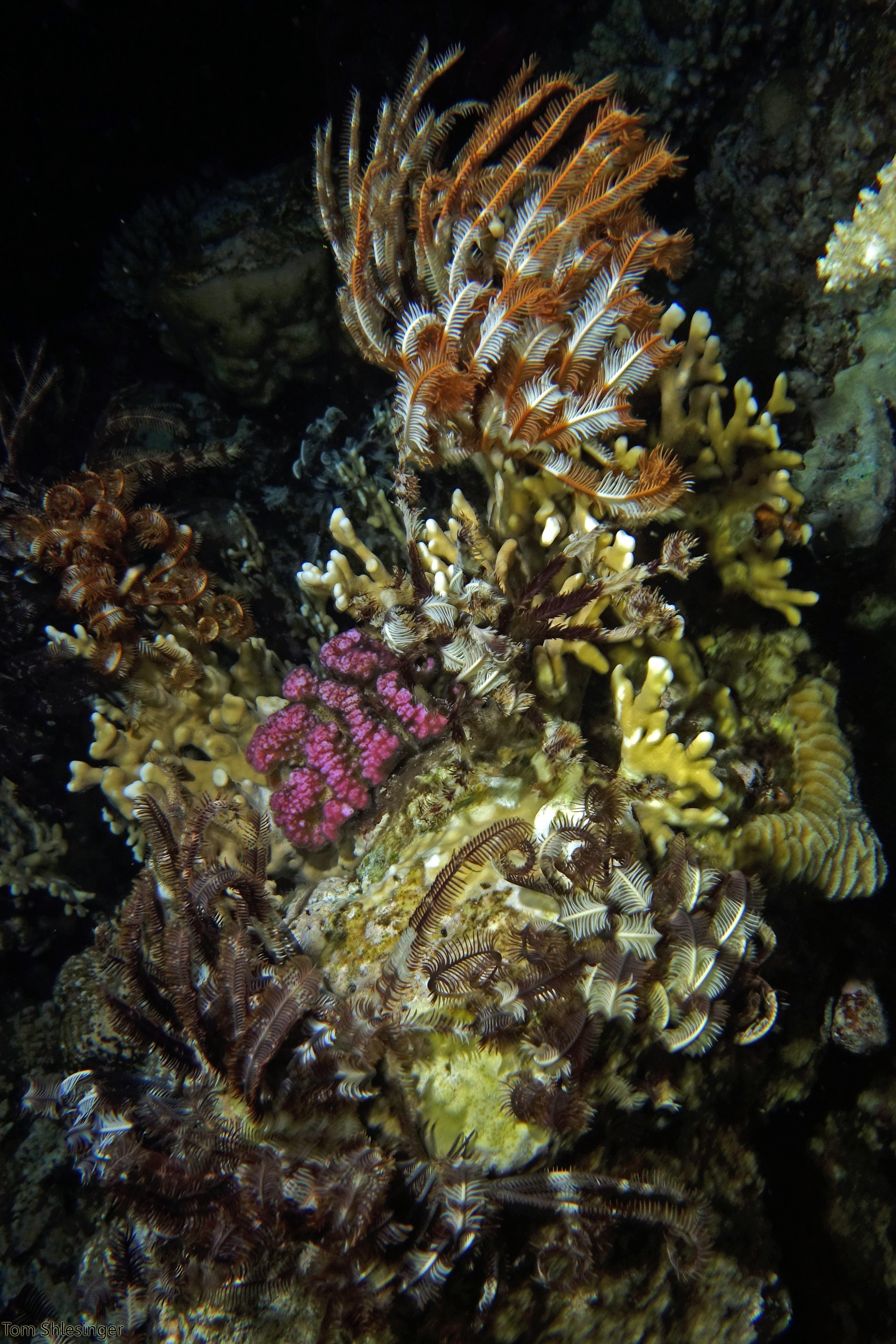DSC03798