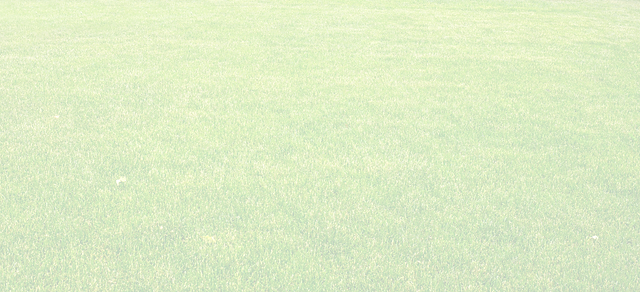 Grass_edited_edited_edited.png