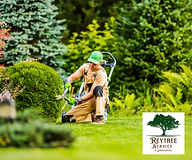 Tree service in tampa