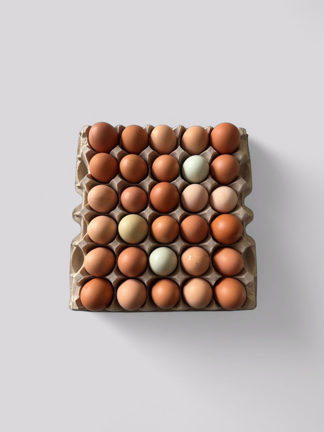 30 Organic Pastured Raised Eggs 