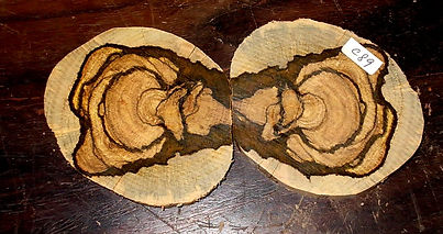 Slices Indonesian Agarwood