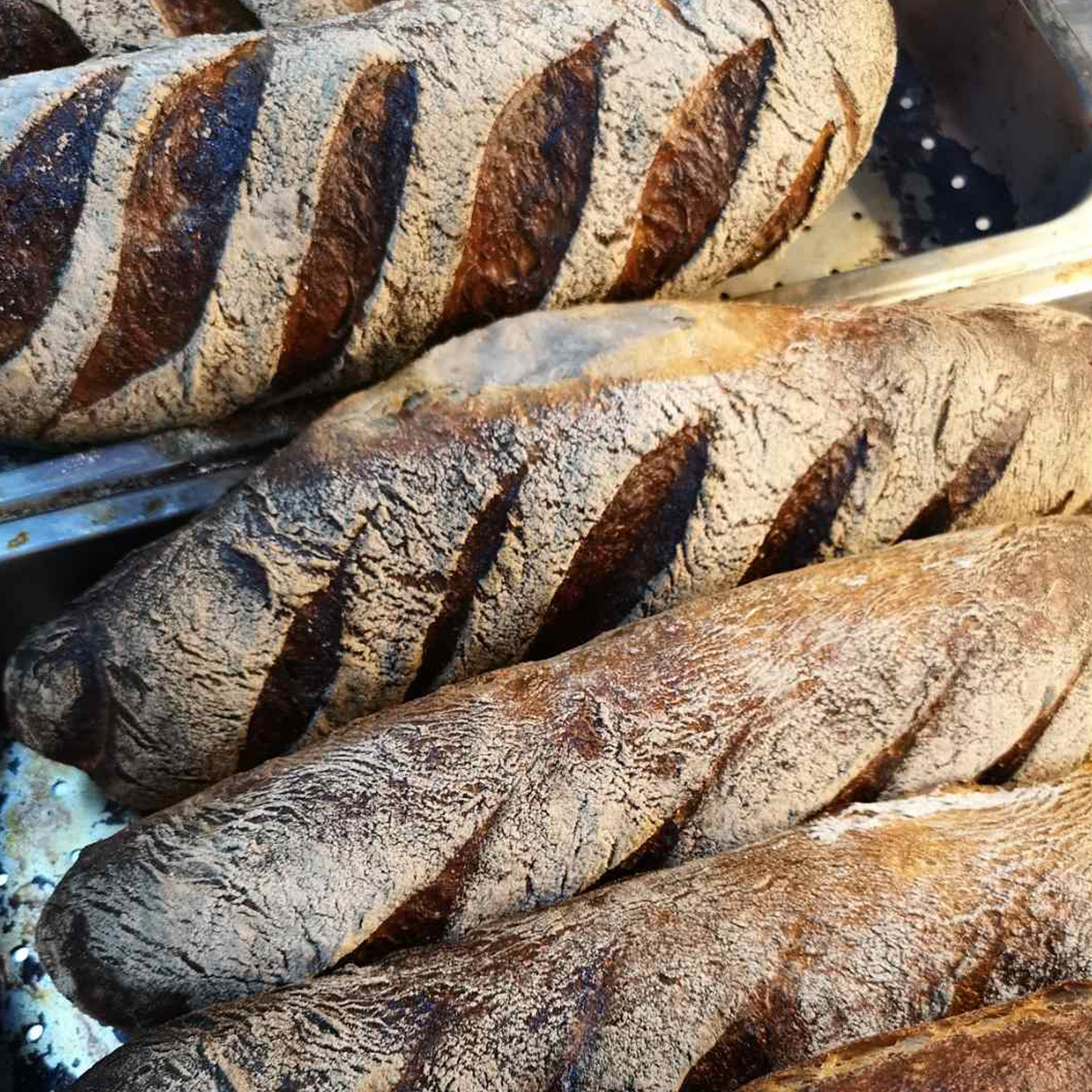 Crusty Sourdough Loaf