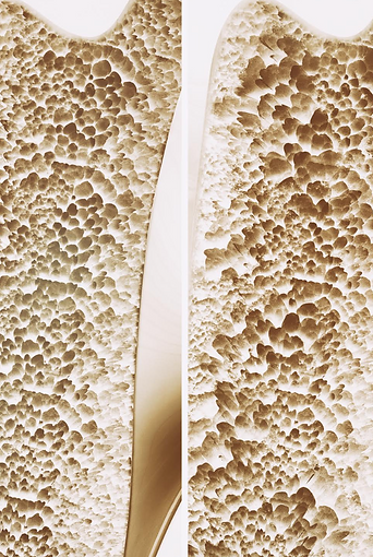 Screen Shot 2025-05-02 at 11.29.31 AM.png