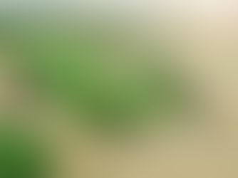 Living Near the PGA in Fields Frisco: Golf, Luxury, and Lifestyle Combined