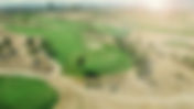 Green Secrets Elevate Brands