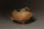 Tea Bowl