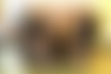 Финал 2-го сезона Шоу-игры Культурная революция