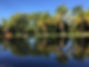 IMG-20240226-WA0055.jpg