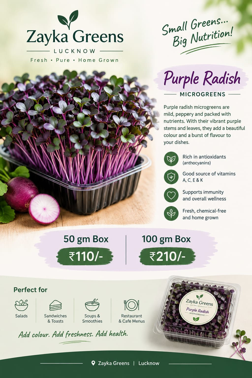 Zayka Greens Purple Radish microgreen