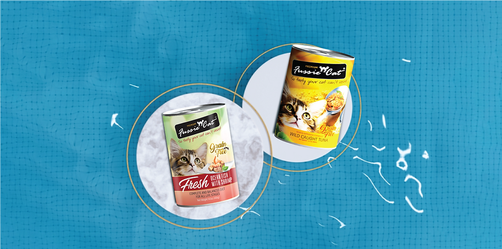 top-banner-new-pack.png
