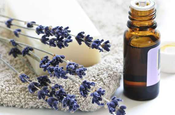 EssentialOil_lavender3.jpg