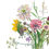 Thumbnail: Drawing of pink, yellow and green spring flowers